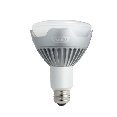 Recessed Lighting Bulb Replacement on Philips Led Outdoor Light Bulbs   Outdoor Lighting Solar