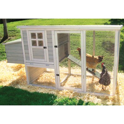  hash/4275/5781823/1/Precision-Pet-Products-Hen-House-Chicken-Coop.jpg